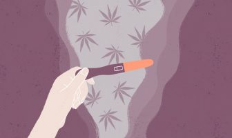 Cannabis,  effet néfaste sur la reproduction humaine ?