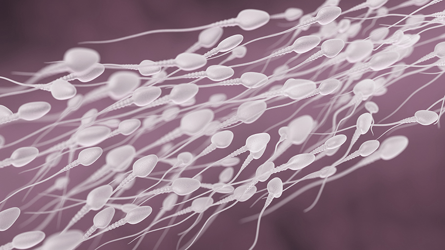 fertilys clinique fertilite pourquoi innovations recherche ADN spermatozoide