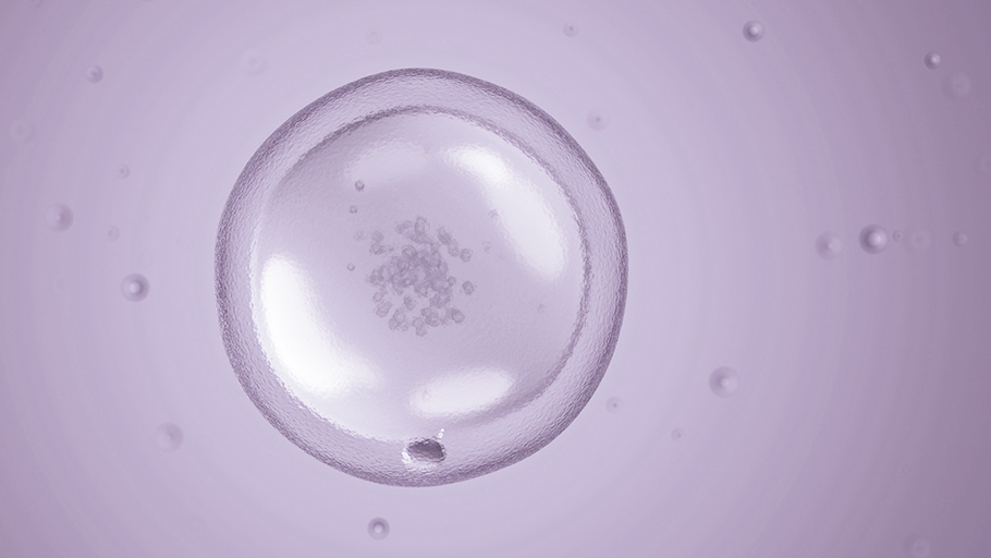 fertilys clinic fertility understanding infertility menstrual cycle egg cell