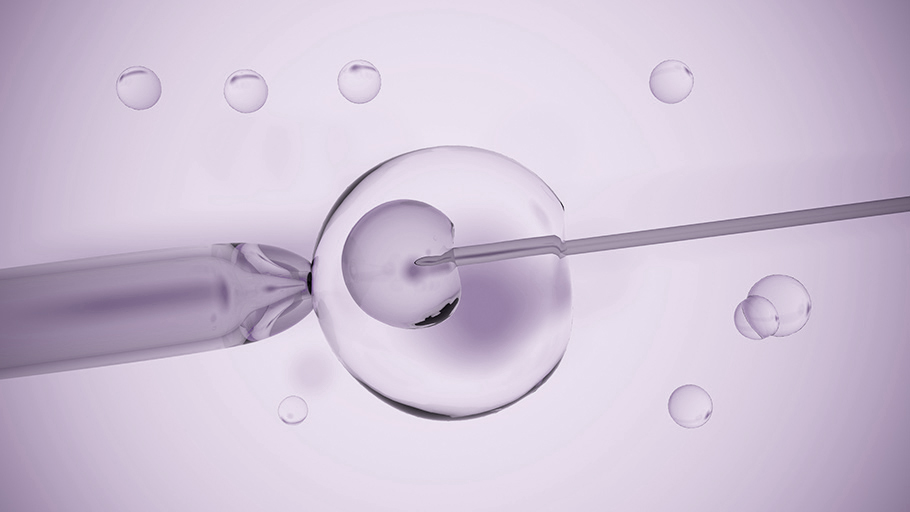 fertilys clinique fertilite comprendre infertilite femme