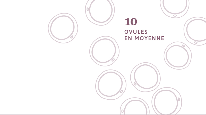 fertilys clinique fertilite services fecondation in vitro Comment fonctionne Etape 1b