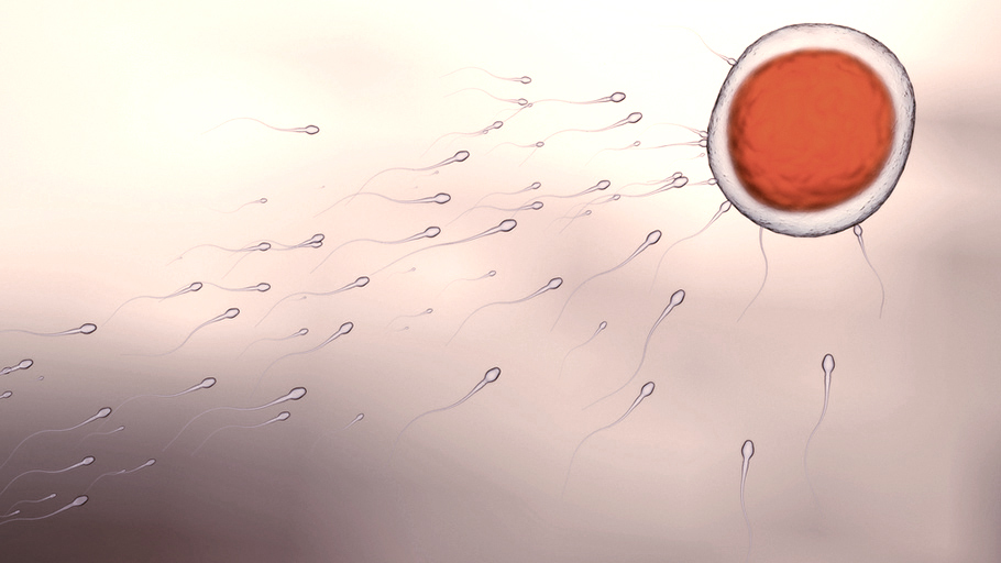 Fertilys Clinique Fertilite Services FIV Comment Ca Fonctionne