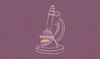 Le monde mystérieux du laboratoire d’embryologie