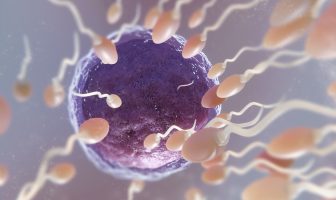 Antioxydants et fertilité masculine: ce qu’il faut savoir